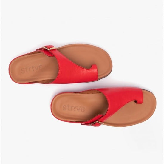 Strive JAVA II Ladies Toe - Loop Sandals Scarlet - Shuperb