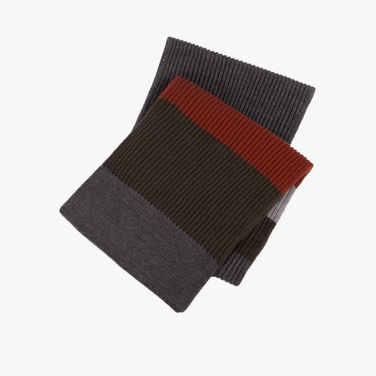 Totes Toasties RIB KNITTED BLOCK STRIPE SCARF Mens Multi - Shuperb