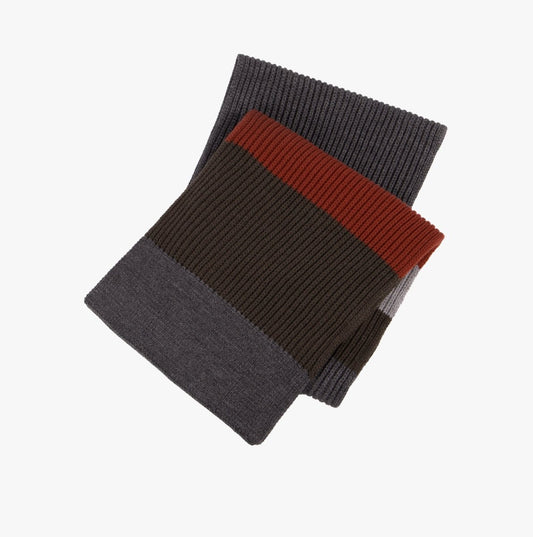 Totes Toasties RIB KNITTED BLOCK STRIPE SCARF Mens Multi - Shuperb