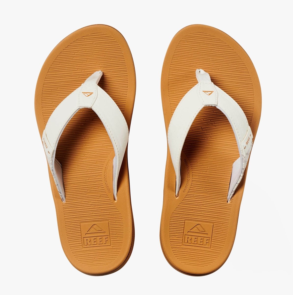 Reef SANTA ANA Ladies Flip - Flops Cloud - Shuperb