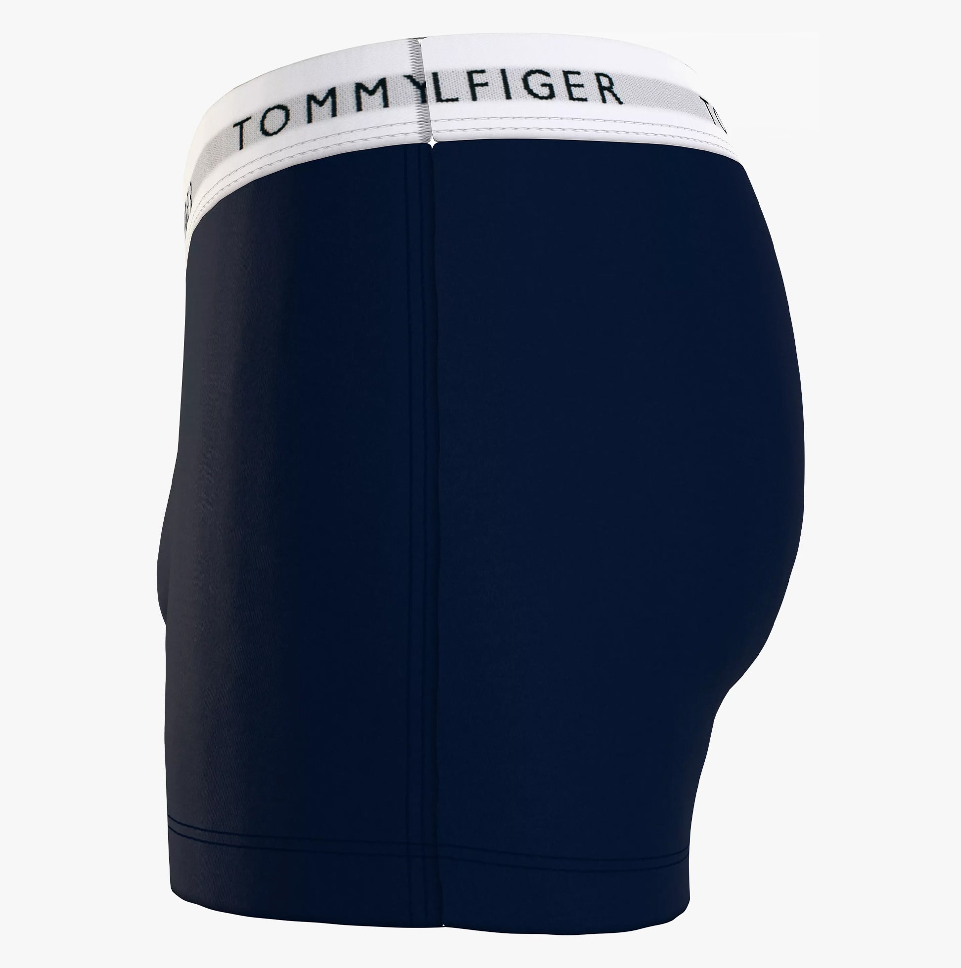 TommyHilfiger-[UM0UM027610YV]-DesSkyBlackGreyHtr-3.jpg